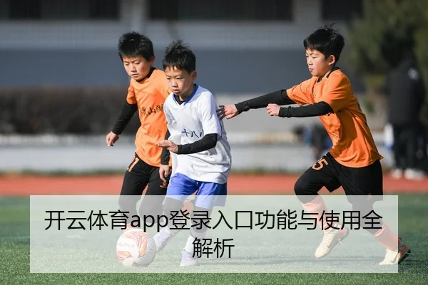开云体育app登录入口功能与使用全解析
