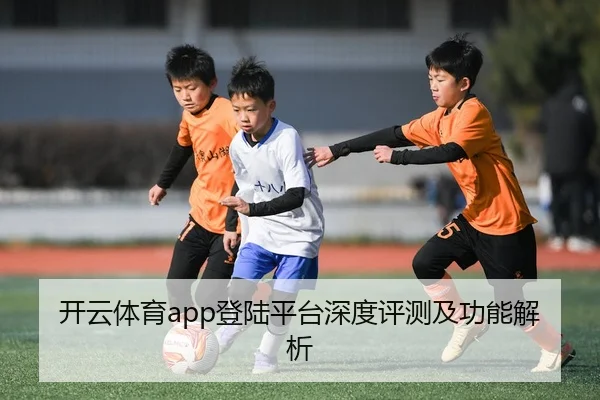 开云体育app登陆平台深度评测及功能解析
